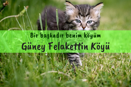 Güney Felakettin Köyü